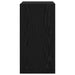 Dulap pentru TV pe Perete 2 pcs Stejar Negru 30,5 x 30 x 60 cm - WALTI WALTI