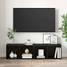 Cabinet TV Negru - WALTI WALTI