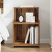 Dulap de noapte Lemn vechi 40 x 35 x 60 cm Lemn compozit - WALTI WALTI
