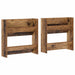 Dulap pentru pantofi cu raft 2 pcs Lemn vechi 60 x 18 x 60 cm - WALTI WALTI