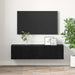 Set comodă TV 2 pcs Negru 60 x 30 x 30 cm Lemn compozit - WALTI WALTI