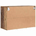 Dulap pentru pantofi Lemn vechi 77,5 x 30 x 51 cm Lemn compozit - WALTI WALTI