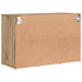 Dulap pentru pantofi cu raft Stejar Artizanal 77,5 x 30 x 51 cm - WALTI WALTI