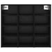 Dulap pentru pantofi cu raft Stejar Negru 77,5 x 30 x 67 cm - WALTI WALTI