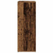 Dulap pentru pantofi cu raft Lemn vechi 77,5 x 30 x 83,5 cm - WALTI WALTI