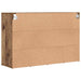 Dulap pentru pantofi Lemn vechi 103 x 30 x 67 cm Lemn compozit - WALTI WALTI