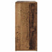Dulap pentru pantofi Lemn vechi 103 x 30 x 67 cm Lemn compozit - WALTI WALTI