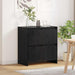 Bufet Stejar Negru 70 x 41 x 75 cm Lemn compozit - WALTI WALTI