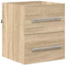 Dulap de Baie cu sertar 41 x 38.5 x 48 cm Lemn compozit - WALTI WALTI
