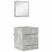 Dulap de Baie cu sertar 41 x 38.5 x 48 cm Lemn compozit - WALTI WALTI