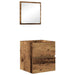 Dulap de Baie Altele Lemn Vechi 41 x 38.5 x 45 cm Lemn compozit - WALTI WALTI
