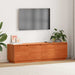 Cabinet TV Maro 156 x 37 x 45 cm Lemn compozit - WALTI WALTI