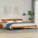 Cadru de pat cu lumini cu bandă LED cu headboard Maro 200 x 200 cm lemn - WALTI WALTI