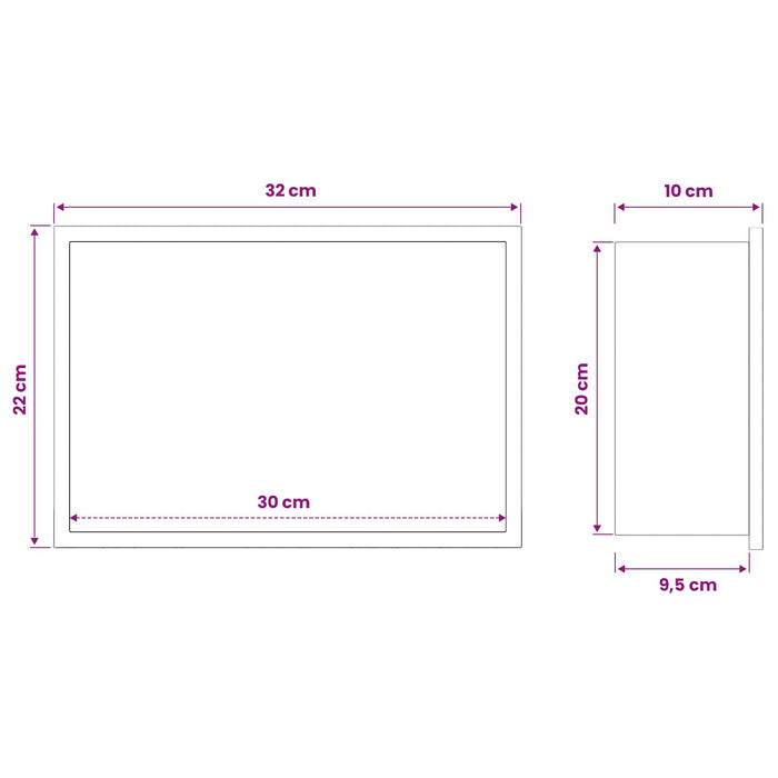 Nisă de Duș Argintiu 30 x 20 x 9,5 cm Oţel inoxidabil WALTI