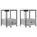 Dulap de noapte 2 pcs Gri Sonoma 42 x 41 x 56 cm Lemn compozit - WALTI WALTI