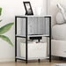 Dulap de noapte Gri Sonoma 38 x 31 x 61 cm Lemn compozit - WALTI WALTI