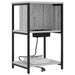 Dulap de noapte Gri Sonoma 38 x 31 x 61 cm Lemn compozit - WALTI WALTI