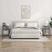 Dulap de noapte Gri Sonoma 40 x 40 x 61 cm Lemn compozit - WALTI WALTI
