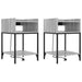 Dulap de noapte 2 pcs Gri Sonoma 40 x 40 x 61 cm Lemn compozit - WALTI WALTI