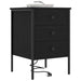 Dulap de noapte Stejar Negru 42 x 41 x 61 cm Lemn compozit - WALTI WALTI
