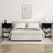 Dulap de noapte Stejar Negru 55 x 31 x 76 cm Lemn compozit - WALTI WALTI
