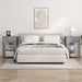Dulap de noapte Gri Sonoma 55 x 31 x 76 cm Lemn compozit - WALTI WALTI