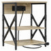 Dulap de noapte Stejar Sonoma 41 x 31 x 51 cm Lemn compozit - WALTI WALTI