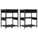 Dulap de noapte 2 pcs Stejar Negru 41 x 31 x 51 cm - WALTI WALTI