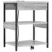 Dulap de noapte 2 pcs Gri Sonoma 41 x 31 x 51 cm Lemn compozit - WALTI WALTI