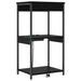 Dulap de noapte Stejar Negru 41 x 31 x 76 cm Lemn compozit - WALTI WALTI