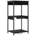 Dulap de noapte Stejar Negru 41 x 31 x 76 cm Lemn compozit - WALTI WALTI