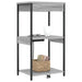 Dulap de noapte Gri Sonoma 41 x 31 x 76 cm Lemn compozit - WALTI WALTI
