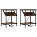 Dulap de noapte 2 pcs Stejar închis 38 x 30 x 48 cm - WALTI WALTI