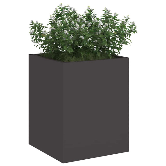 Vază pentru Grădină Negru 32 x 32 x 40 cm Oțel laminat la rece - WALTI WALTI