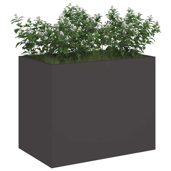 Vază pentru Grădină Negru 50 x 32 x 40 cm Oțel laminat la rece - WALTI WALTI