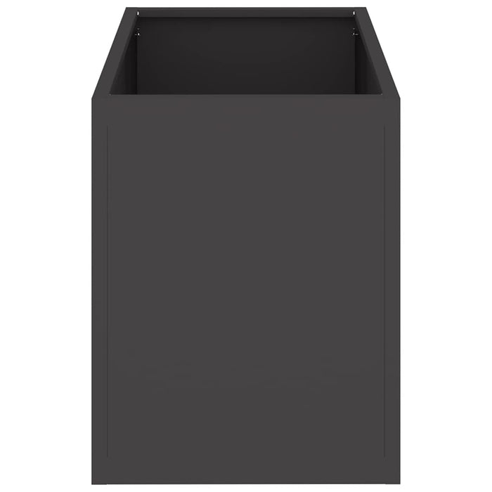 Vază pentru Grădină Negru 50 x 32 x 40 cm Oțel laminat la rece - WALTI WALTI