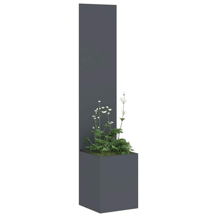 Ecran de intimitate pentru grădină Antracit 32 x 140 cm - WALTI WALTI