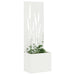 Ecran de intimitate pentru grădină Traforaj Alb 50 x 140 cm - WALTI WALTI