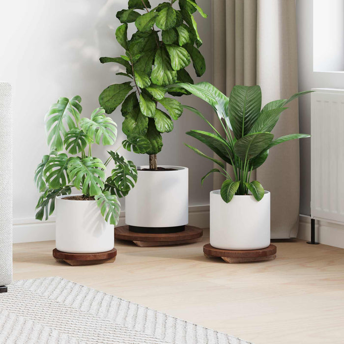Taburet pentru plante 3 pcs Maro Lemn de mahon - WALTI WALTI