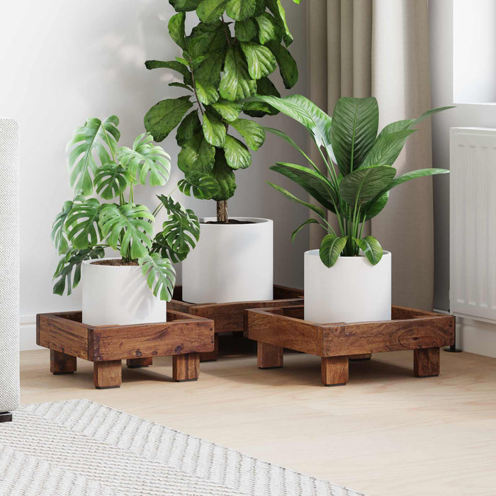 Suport pentru plante 3 pcs Maro Lemn de mahon - WALTI WALTI