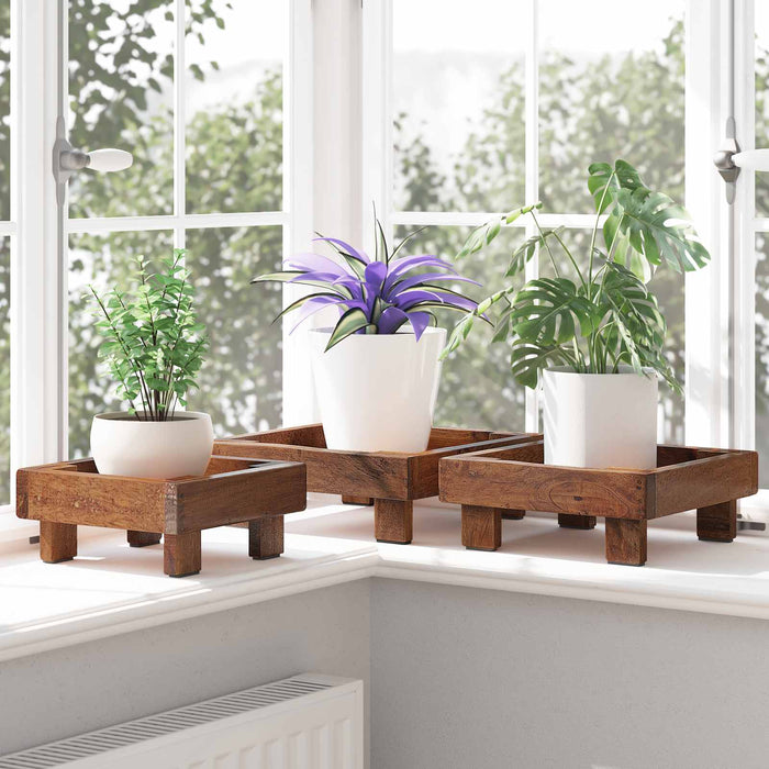 Suport pentru plante 3 pcs Maro Lemn de mahon - WALTI WALTI
