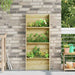 Rafturi pentru plante Maro 50 x 15 x 117 cm Lemn de pin tratat - WALTI WALTI