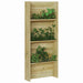 Rafturi pentru plante Maro 50 x 15 x 117 cm Lemn de pin tratat - WALTI WALTI