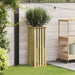 Cutii de plantare Maro 33 x 33 x 85 cm Lemn de pin tratat - WALTI WALTI
