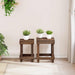 Suport pentru plante 2 pcs Maro 70 x 11 x 27 cm Lemn de mahon - WALTI WALTI