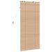 Jaluzea venetiană Aspect Stejar 65 x 130 cm 35 mm - WALTI WALTI
