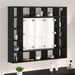 Dulap cu oglindă Stejar Negru 91 x 15 x 76,5 cm Lemn compozit - WALTI WALTI