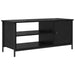 Cabinet TV Stejar Negru 100 x 40 x 45 cm Lemn compozit - WALTI WALTI