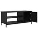Cabinet TV Stejar Negru 100 x 40 x 45 cm Lemn compozit - WALTI WALTI