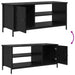 Cabinet TV Stejar Negru 100 x 40 x 45 cm Lemn compozit - WALTI WALTI